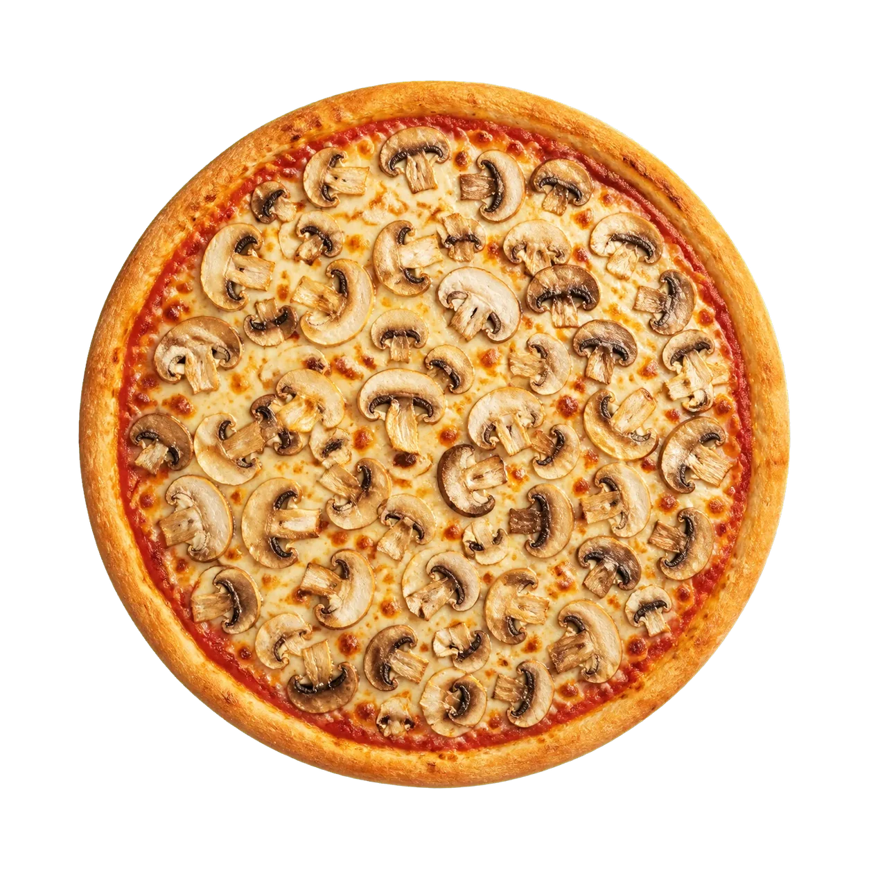 Pizza Funghi
